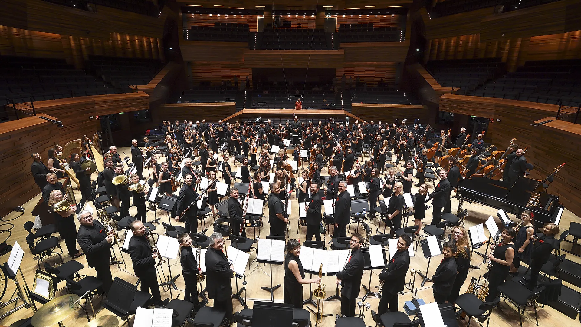 Viva l'Orchestra - Photo : Christophe Abramowitz